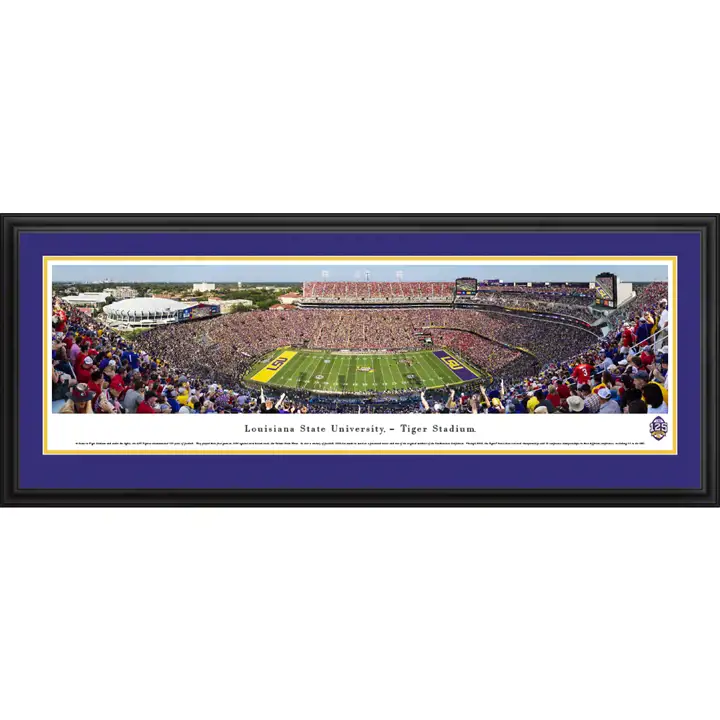 LSU Panoramic Deluxe Encadré Ast