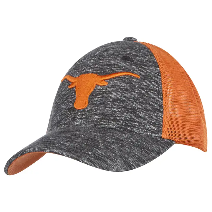 Casquette de routier Titan Texas Longhorns NCAA gris chiné