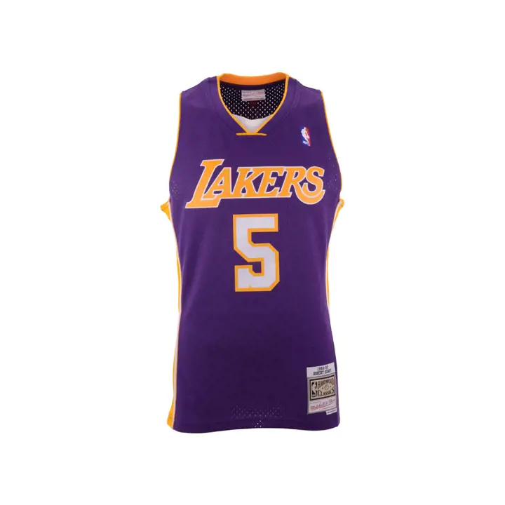 LA LAKERS NBA Maillot M&N Swingman Robert Horry VIO