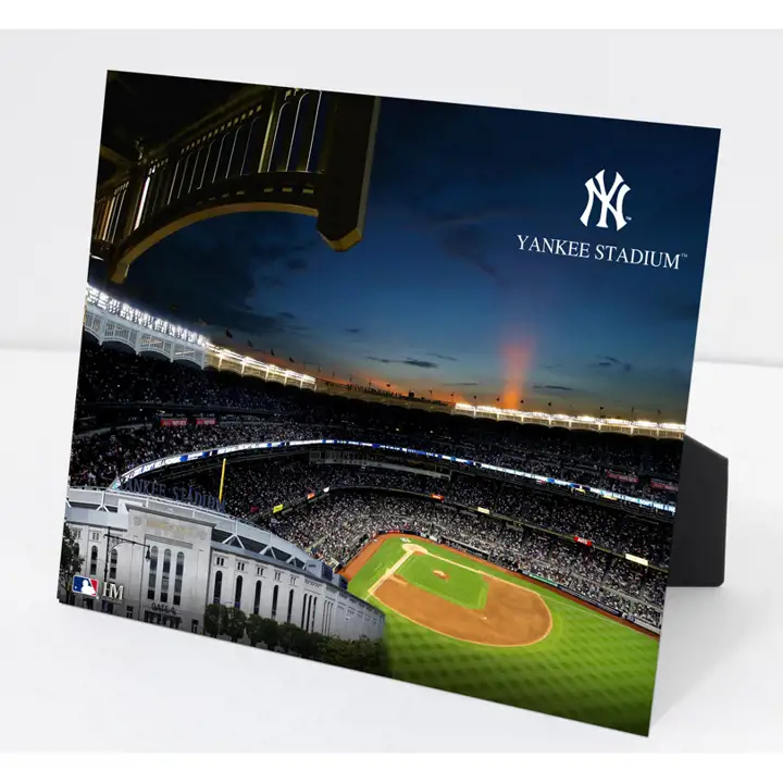New York Yankees Stadium PleXart marine