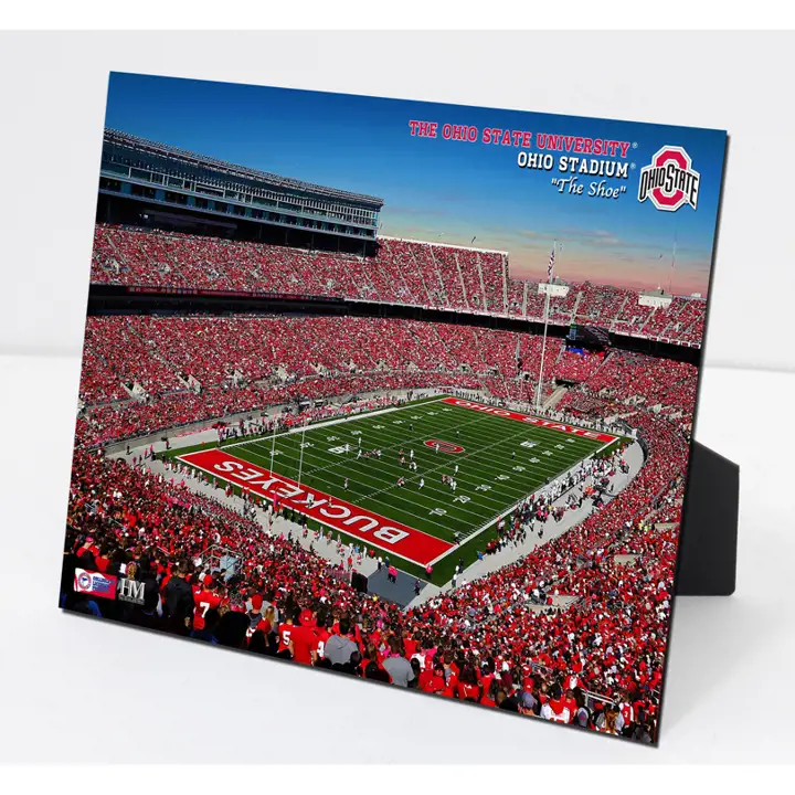Ohio State Stadium PleXart Ast