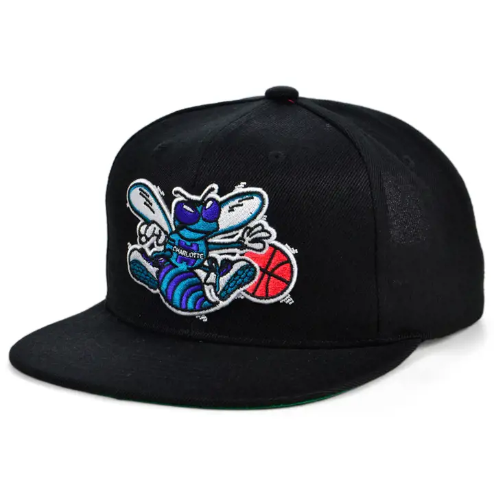 Charlotte Hornets NBA MN Basic SH Snapback noir
