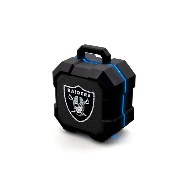 Enceinte LED antichoc LV Raiders