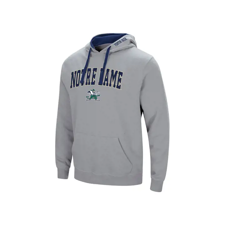 Notre Dame Fighting Irish 2F NCAA Arch & Logo Sweat à Capuche gry