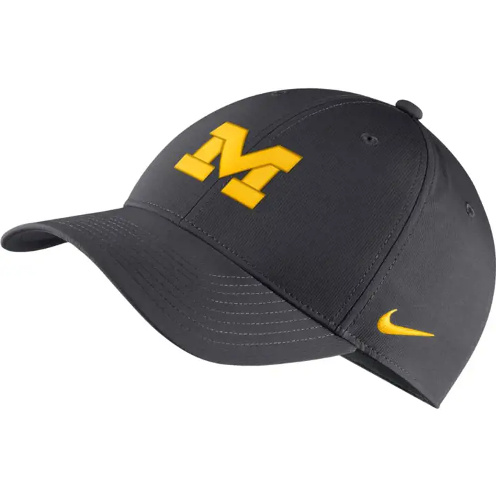 Michigan Wolverines NCAA NK DF L91 Adj Anthracite