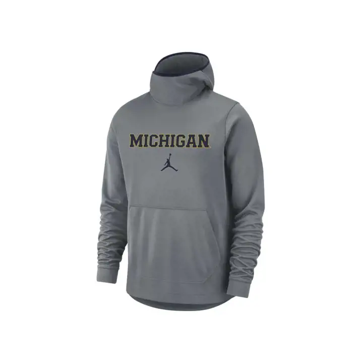 Sweat à capuche Michigan Wolverines NCAA Spotlight 20 GRIS