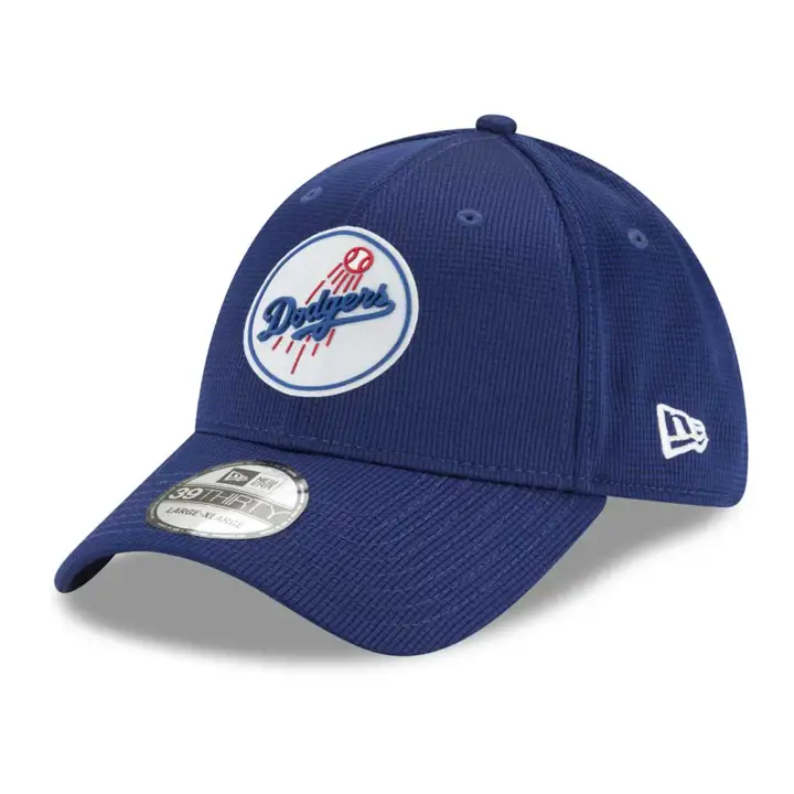 Los Angeles Dodgers 2021 MLB Clubhouse 39THIRTY LTNVY