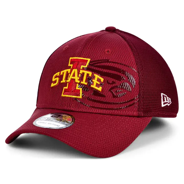 Iowa State Cyclones NCAA Tonal Print 39Thirty crim