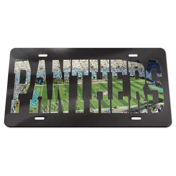 CAROLINA PANTHERS LASER GAME ast 2