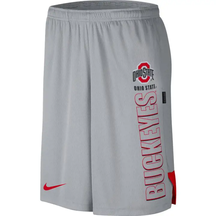 Short en maille Nike Breathe NCAA Ohio State Buckeyes 20 GRIS