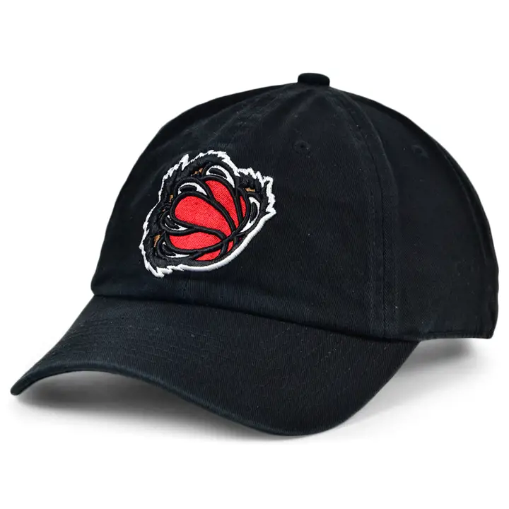 Vancouver Grizzlies M&N HWC Basic Dad Hat Adj NOIR