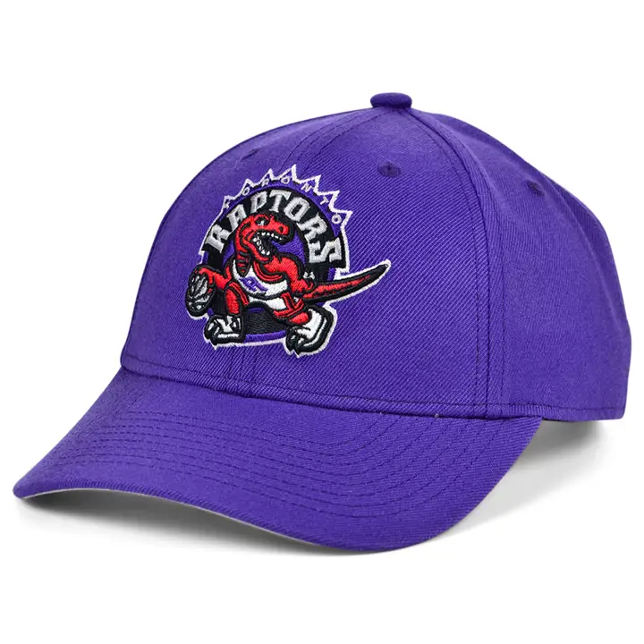 Toronto Raptors M&N HWC Basic Structured Adj VIO