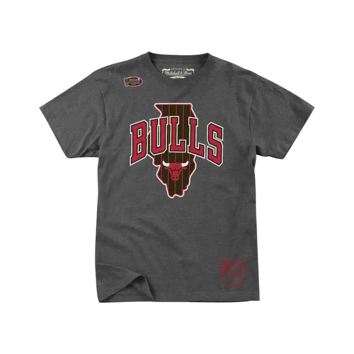 T-shirt Chicago Bulls NBA MN State Wordmark anthracite