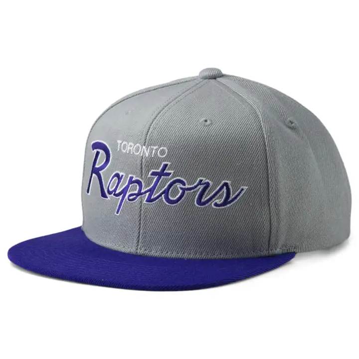 CASQUETTE SCRIPT HÉRITAGE RAPTORS HWC gris/mauve