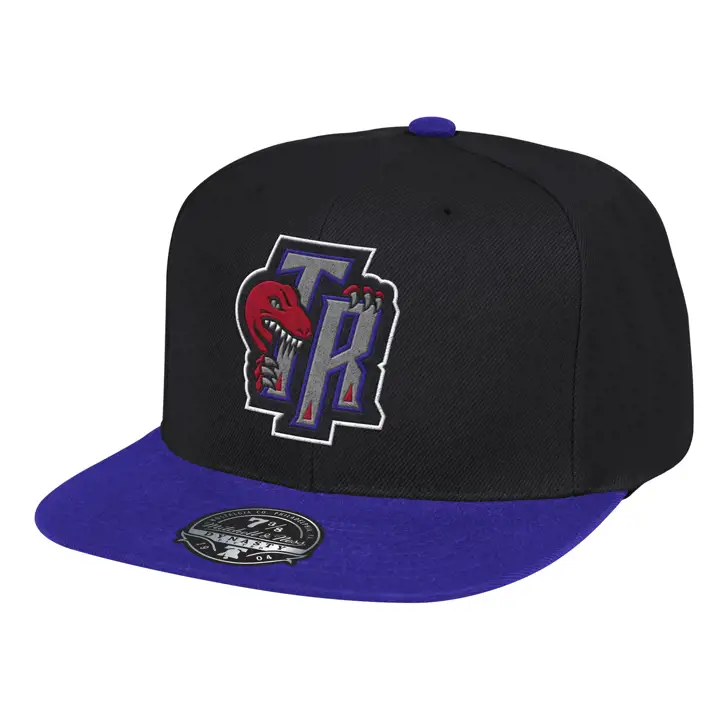 CASQUETTE AJUSTÉE DEUX TONS EN LAINE RAPTORS NBA noir/mauve