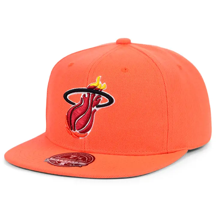 HEAT NBA ÉQUIPE TERRAIN ÉQUIPÉE org