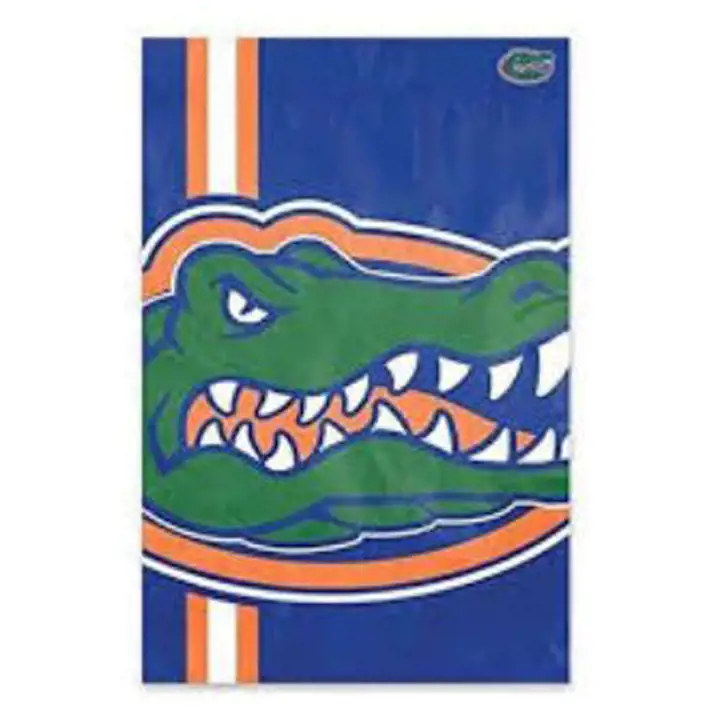 Drapeau bannière à logo audacieux des Florida Gators