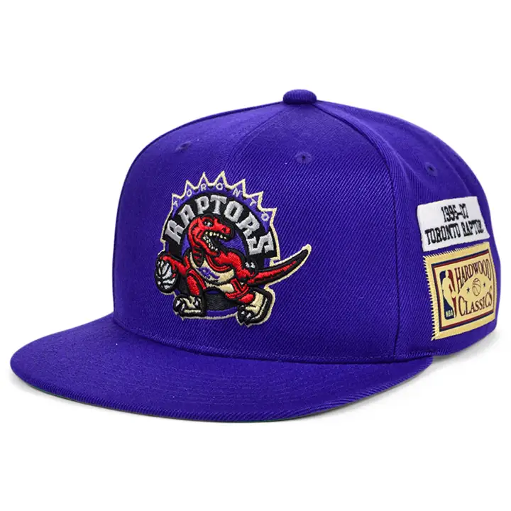 Casquette RAPTORS HWC JOCKEY SNAPBACK pur
