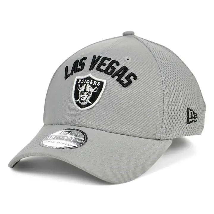 LV Raiders NFL LV Arch Wordmark 39THIRTY gris