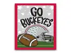 Ohio State Buckeyes Football Garden Flag Flags & Banners