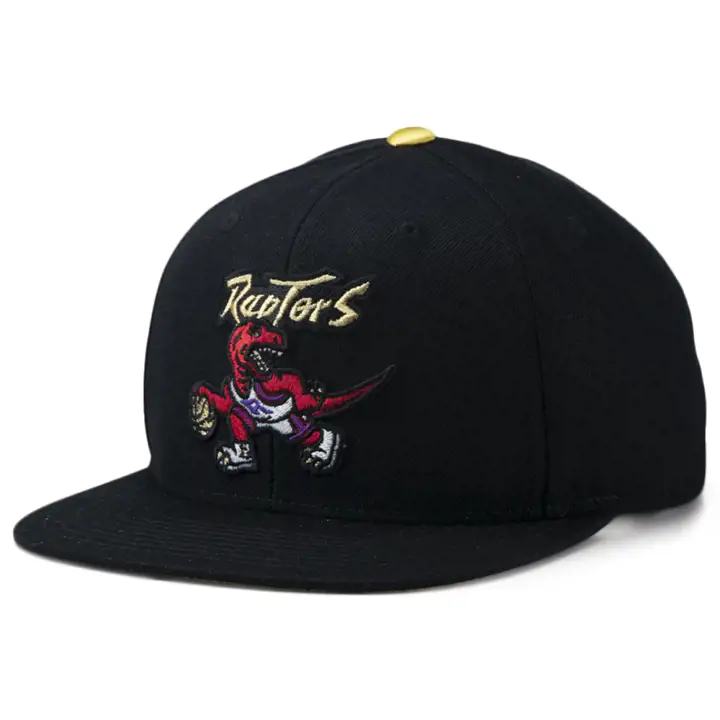 TORONTO RAPTORS HWC GOLD TIP 2 SNBK noir/or
