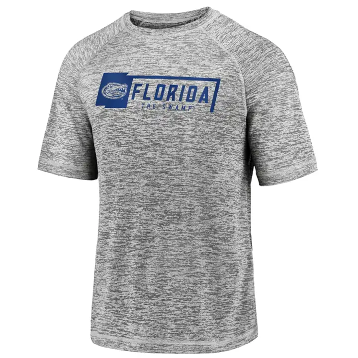 T-shirt emblématique rayé NCAA Florida Gators 20 gris