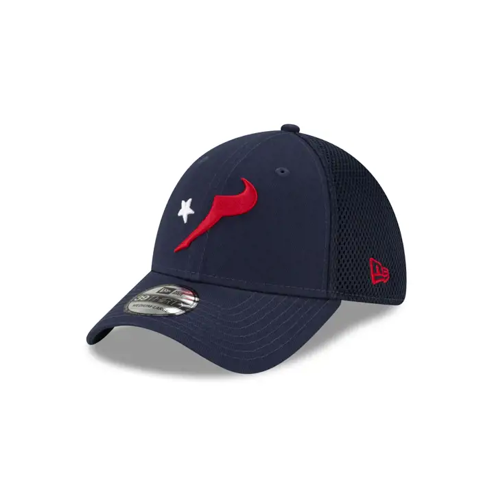 Houston Texans NFL Logo Elements Collection 39THIRTY Neo NAV
