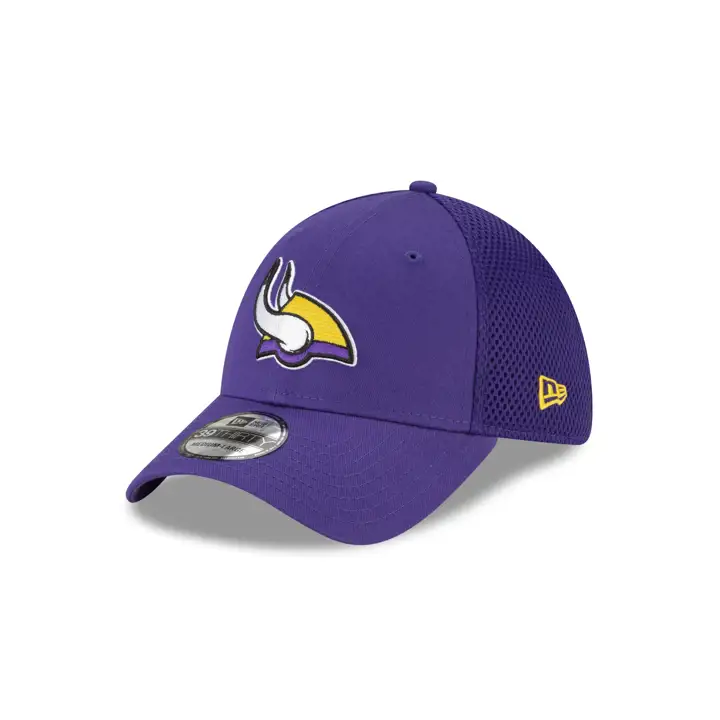 Casquette NFL Minnesota Vikings Logo Elements Collection 39THIRTY Neo