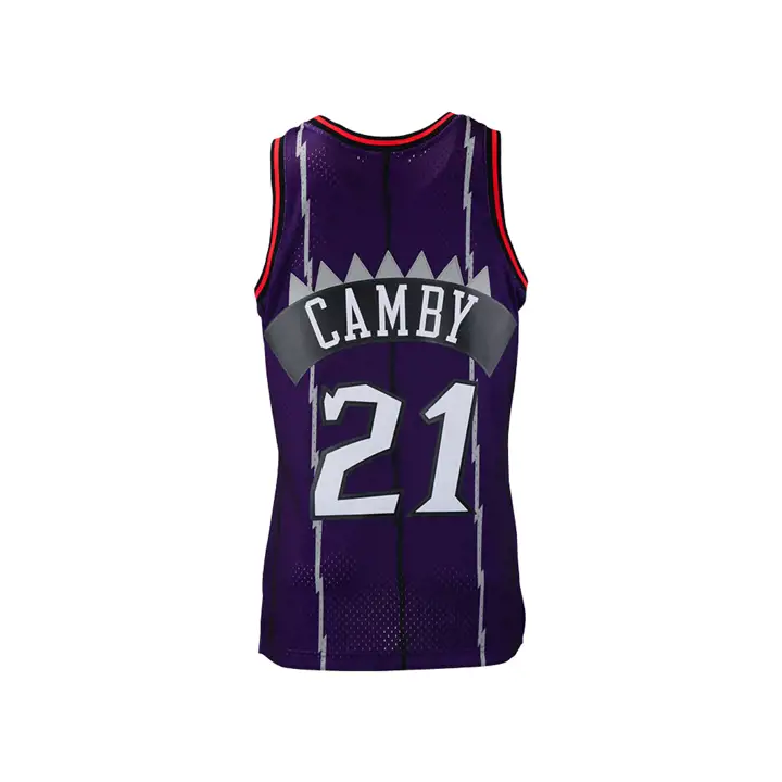 Maillot Swingman Toronto Raptors NBA HWC Joueur Camby pur