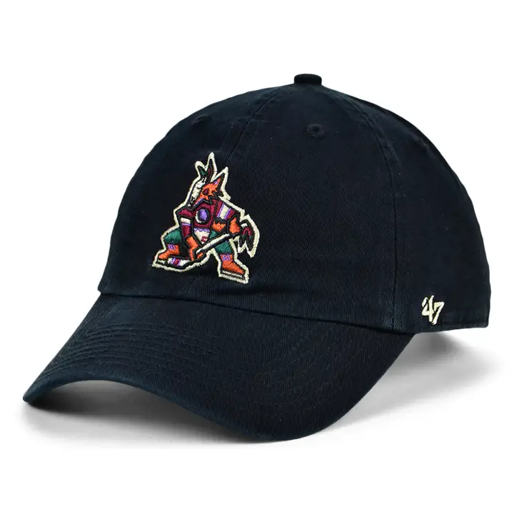 ARIZONA COYOTES Nettoyage - LNH NOIR