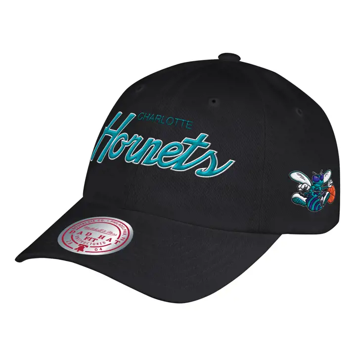 Casquette Charlotte Hornets HWC Foundation Script pour homme, noire