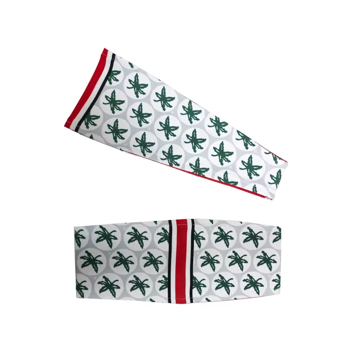 Serre-tête GameDay Ohio State Buckeyes