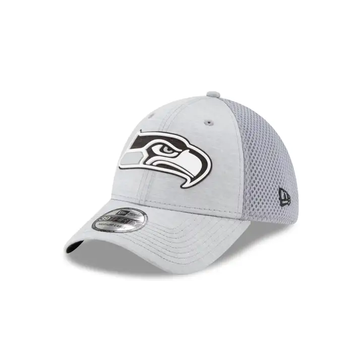 Seattle Seahawks NFL Caoutchouc Avant 39THIRTY Néo GRIS CLAIR