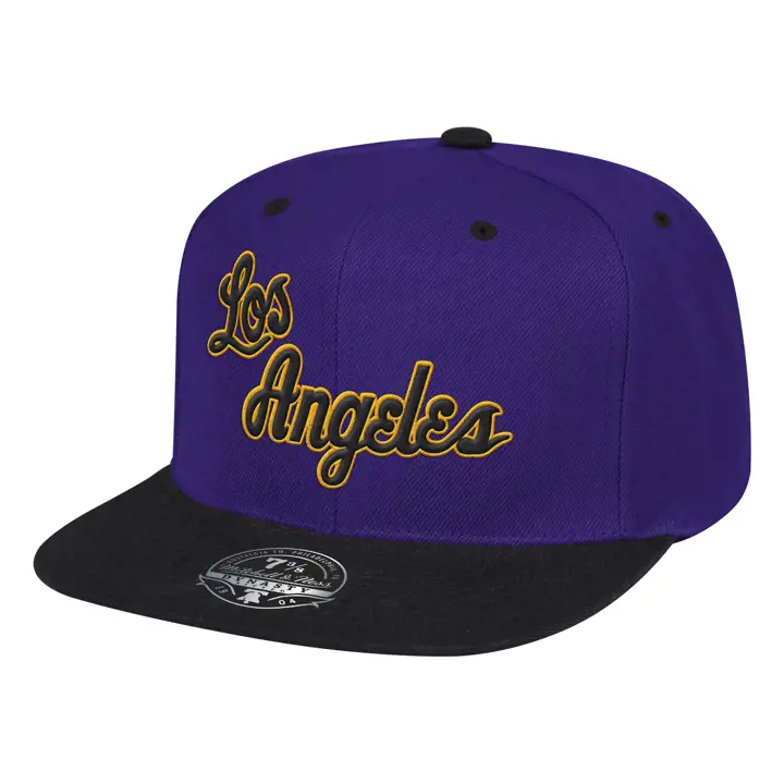LOS ANGELES LAKERS RELOAD 2.0 CASQUETTE AJUSTÉE 2 TONS HWC VIO/NOI