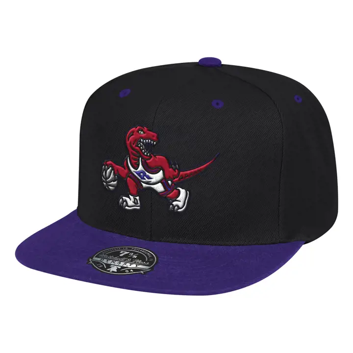 TORONTO RAPTORS RELOAD 2.0 2T AJUSTÉE HWC NOIR/MAUVE