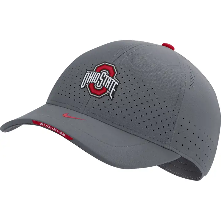 Ohio State Buckeyes NCAA NK Aero Flex SDLN 21 gris