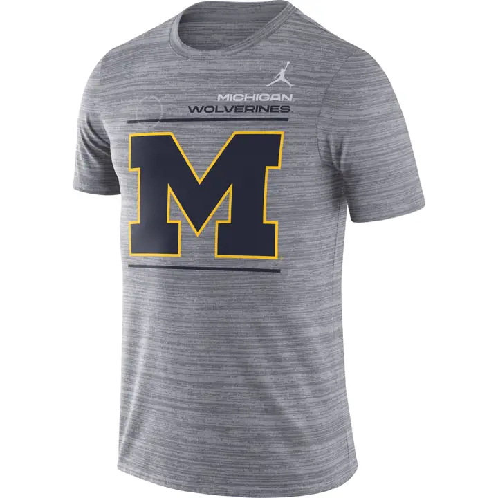 T-Shirt Michigan Wolverines NCAA Legend Velocity 21 ANTHRACI