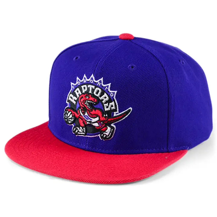 TORONTO RAPTORS HWC ESTABLISHED PATCH SNAPBACK pur/rouge