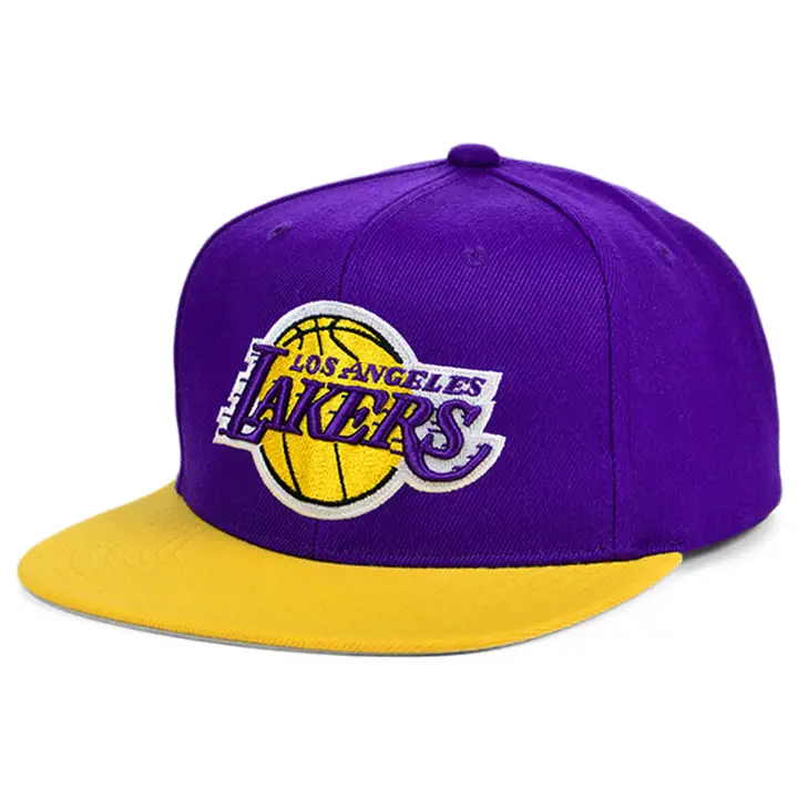 LOS ANGELES LAKERS NBA MN Casquette Snapback Basic pur/gl