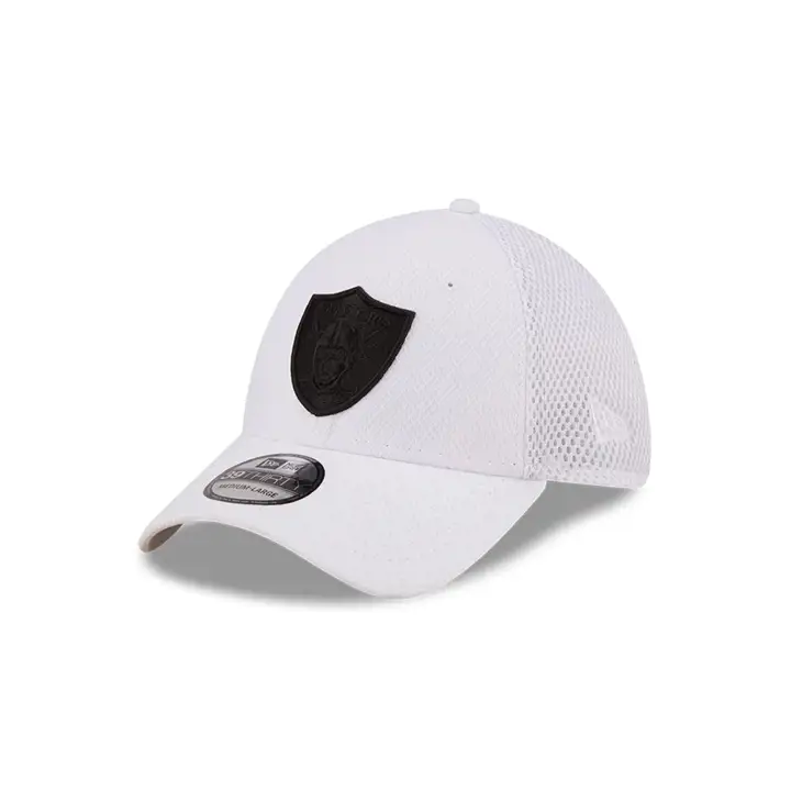Las Vegas Raiders NFL Logo Elements 3.0 39THIRTY wht