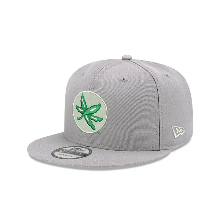 Ohio State Buckeyes NCAA Core 9FIFTY Snap GRIS BUCKEYE