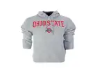 Ohio State Buckeyes NCAA Men's Basic Fleece Hoodie Hoodies