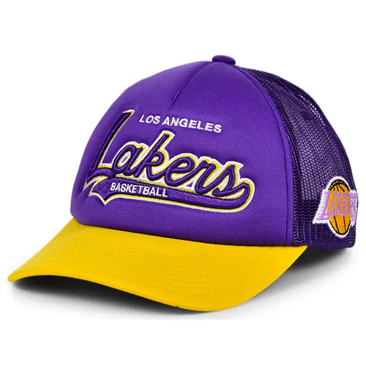 LOS ANGELES LAKERS HWC TRUCK STOP SNAPBACK pur/gl