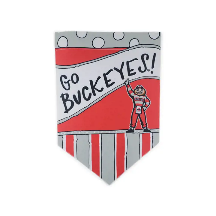 Ohio State Buckeyes Go Buckeyes! Drapeau de jardin