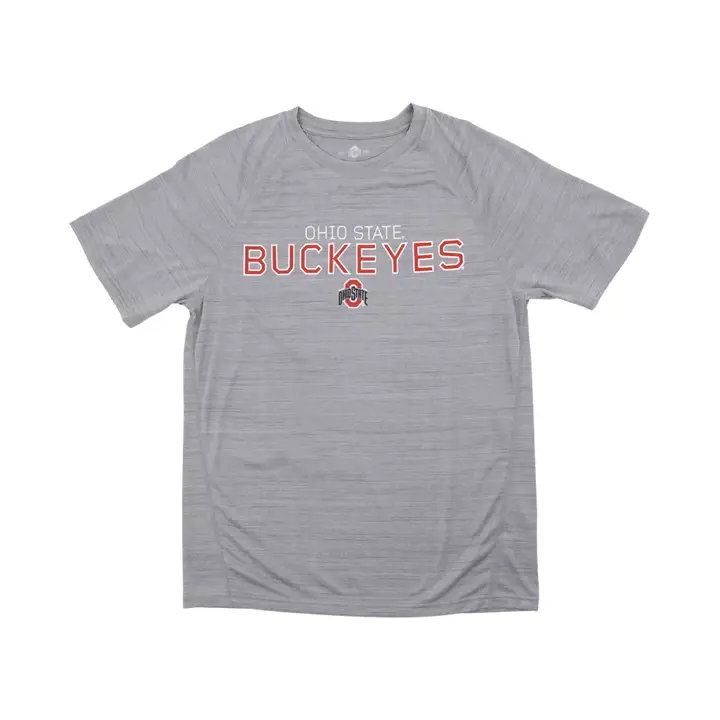 T-shirt délavé Ohio State Buckeyes NCAA LGRY