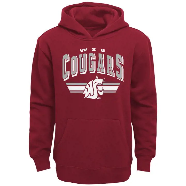 Chandail à capuchon en molleton pour jeune Washington State Cougars NCAA BF 21 CRIM