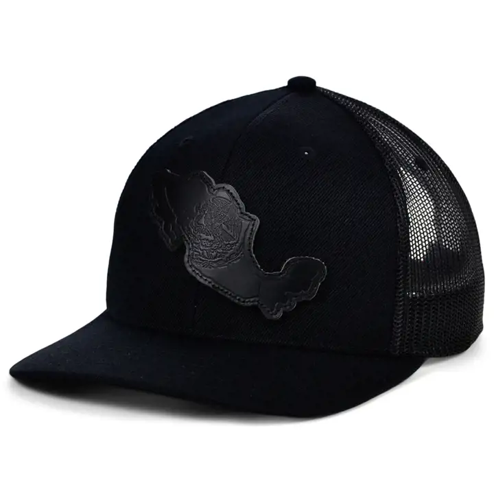 Casquette de camionneur incurvée en cuir noir « Drapeau du Mexique »