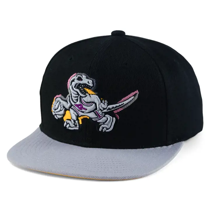 Casquette snapback TORONTO RAPTORS HWC B6 noire