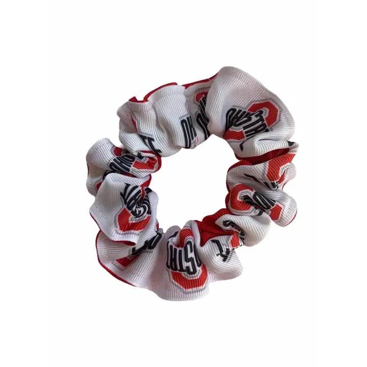 Queue de cheval colorée des Buckeyes d'Ohio State