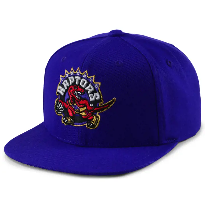 TORONTO RAPTORS HWC 50TH SNAPBACK pur